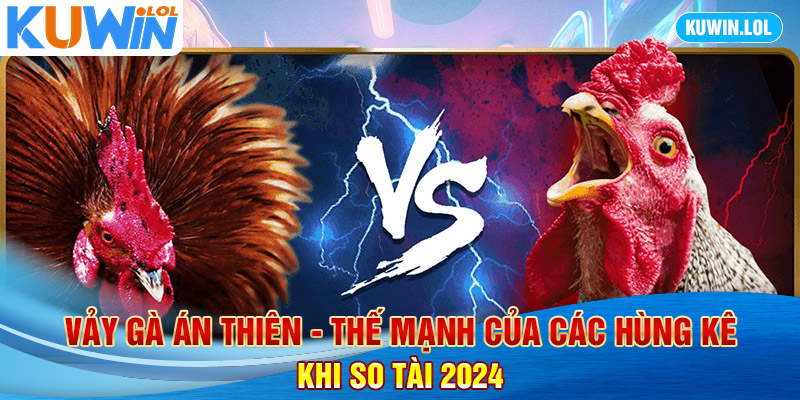 Vảy Gà Án Thiên - Thế Mạnh Của Các Hùng Kê Khi So Tài 2024